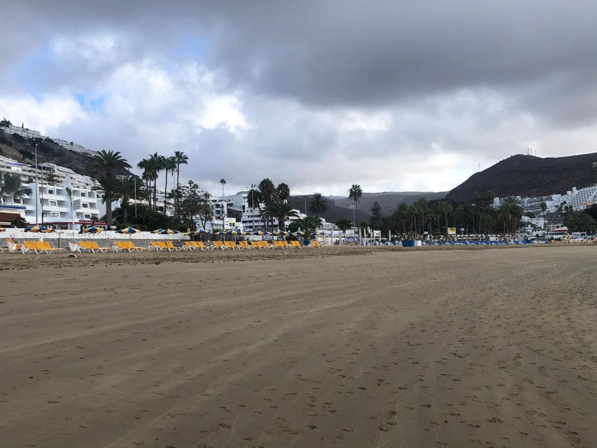 פוארטו ריקו Lovely Apartment 2 Rooms With Big Terrace In Puerto Rico מראה חיצוני תמונה