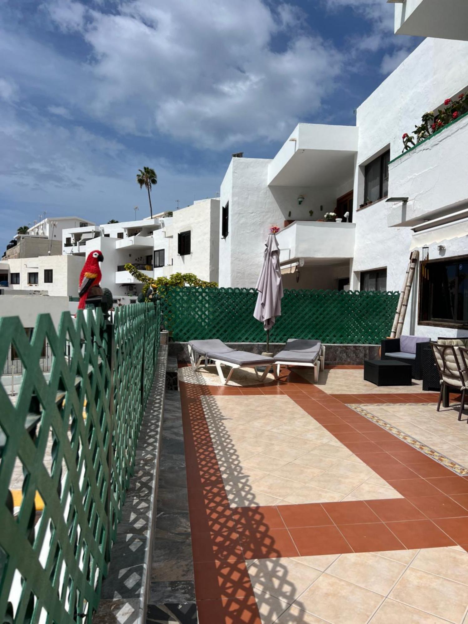 פוארטו ריקו Lovely Apartment 2 Rooms With Big Terrace In Puerto Rico מראה חיצוני תמונה